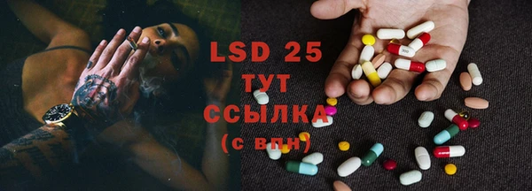 spice Алзамай