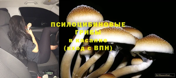 spice Алзамай
