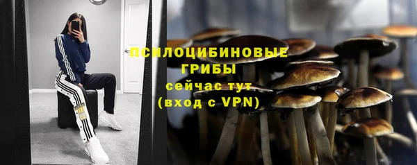 мяу мяу кристалл Алексин